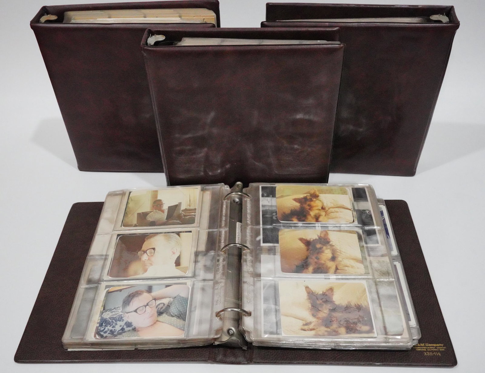 J. Lee Thompson 1400+ Vintage Movie Star Photos (1 of 6)