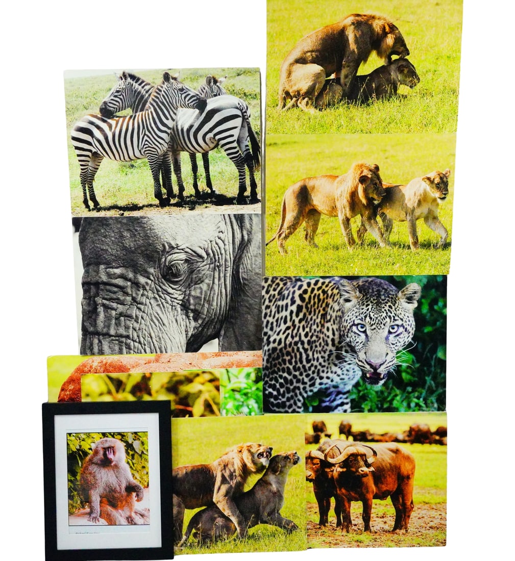 Richard Roundtree (11) Photos Taken During African Safari (1 of 12)