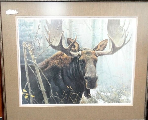 1978 Robert Bateman "Bull Moose" Litho: The piece depicts a gorgeous bull moose in the forest. The amount of detail makes this piece absolutely beautiful. The piece is hand signed & numbered 402/950. The piece is professionally framed & bor