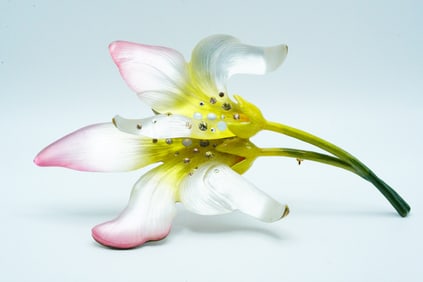 Alexis Bittar Handmade Lucite 6" Flower Brooch