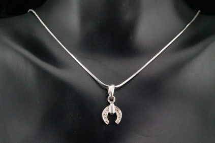 18K White Gold 17.5" Horseshoe Necklace W/Diamonds