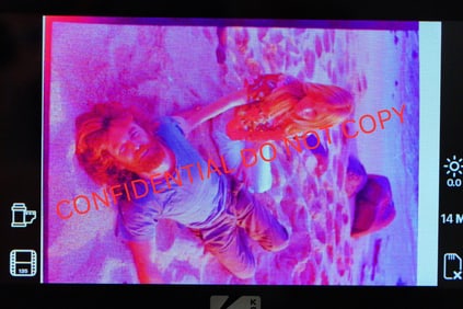 Beach Boys Dennis Wilson W/Wife Photo Negative