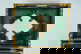 item-210019691=3