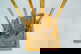 item-210019723=6