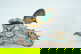 item-210019725=5