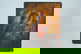 item-210019797=1