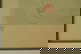 item-210019982=3