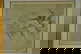 item-210019982=6