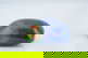 item-210020052=5