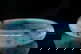 item-210020094=7
