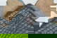 item-210020121=8