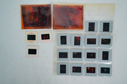 Barbra Streisand Rare German Cinema Release Negatives