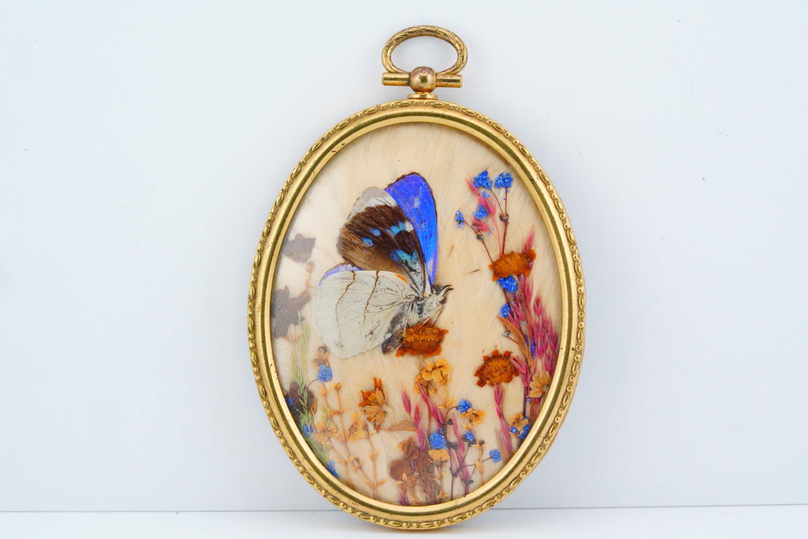 Victorian Hand-Painted Framed Butterfly Plaque