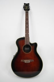 The Cure Robert Smith Prototype Schecter Guitar