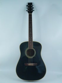 Washburn Black D-12B Acoustic Guitar W/Case