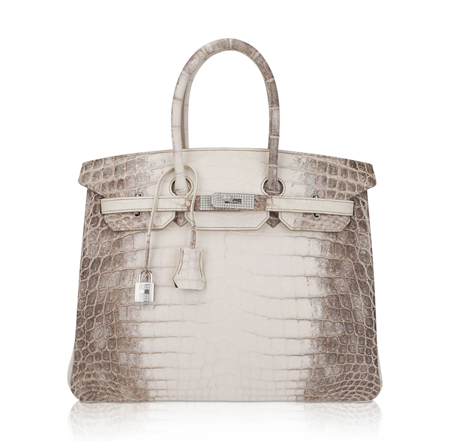 Hermes Birkin 35 Diamond Blanc Himalaya Matte Crocodile Bag (1 of 12)