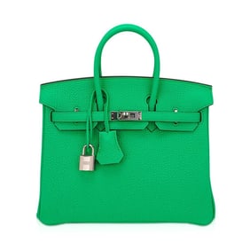 Hermes Birkin 25 Bag Vert Comics Togo Leather Palladium HW