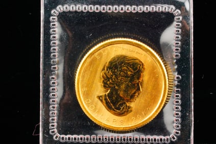 2009 Canadian Maple Leaf 1/10 Ounce .9999 Gold $5 Coin