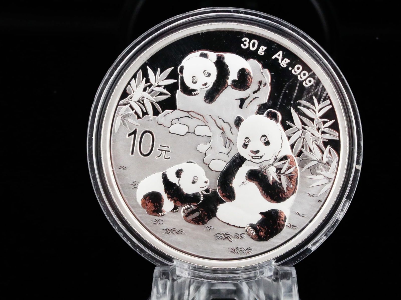2025 China 30 Gram .999 Silver 10 Yuan Panda Coin (1 of 2)
