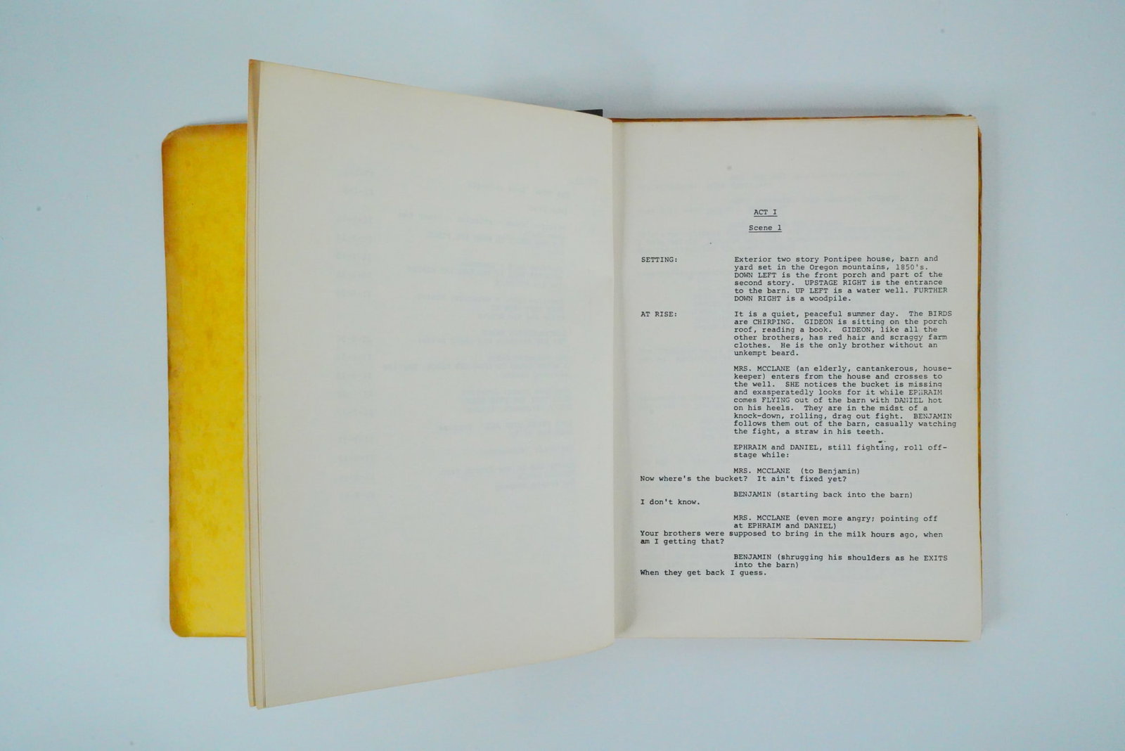 Seven Brides for Seven Brothers (1981) Script - 4