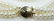 6mm AAA Grade Akoya Pearl Triple Strand 14K Clasp - 3