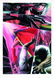 ALEX ROSS - Justice #10