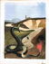 FERENC PINTÉR - Pinocchio. Il Serpente