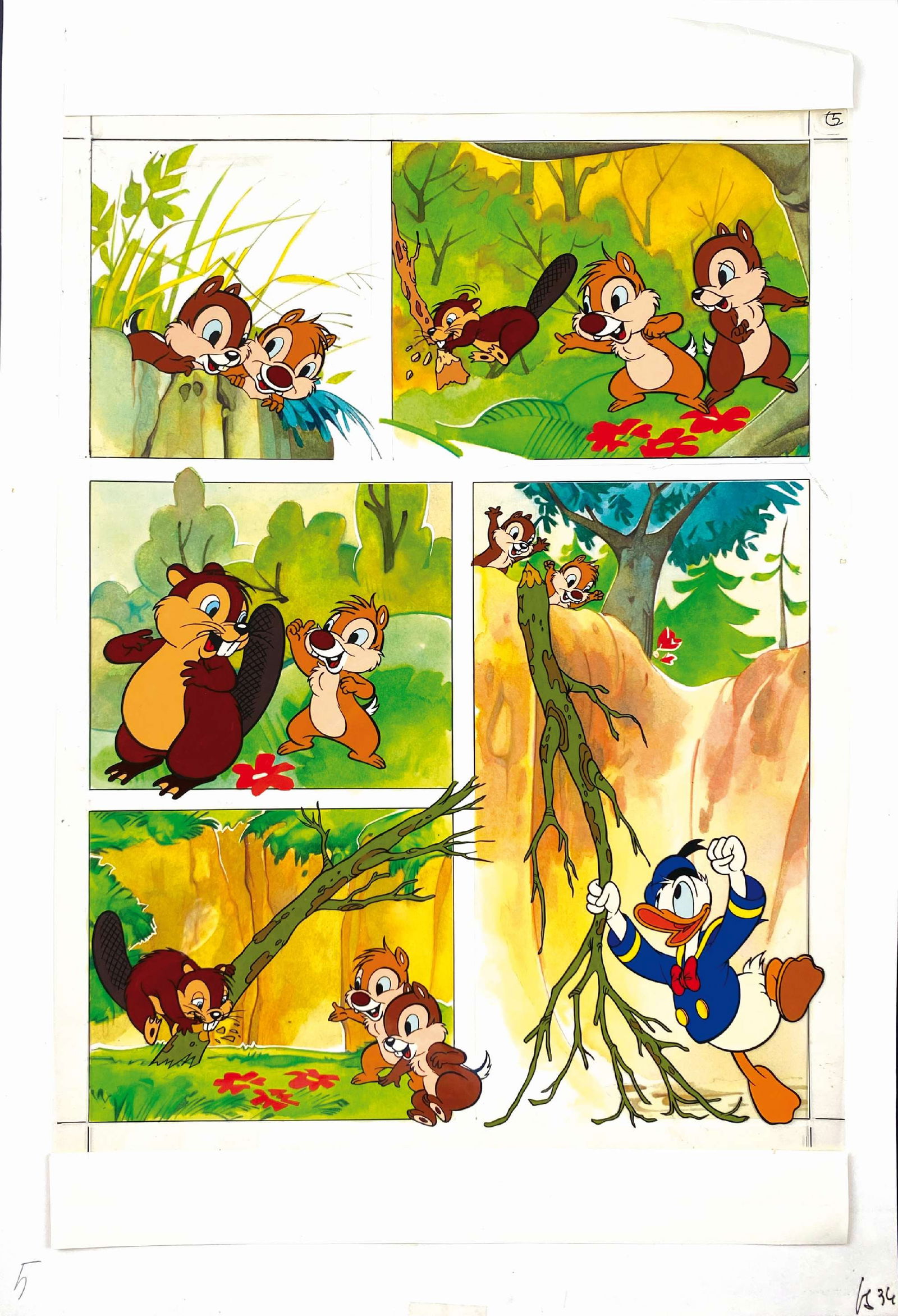 GIULIO CHIERCHINI  -  Paperino Cip & Ciop (1 of 1)