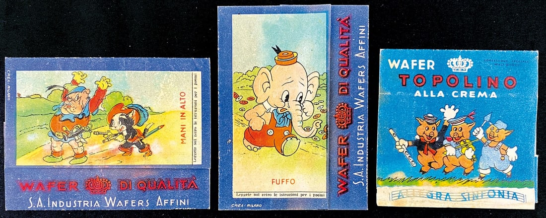 Wafer Topolino (1 of 1)