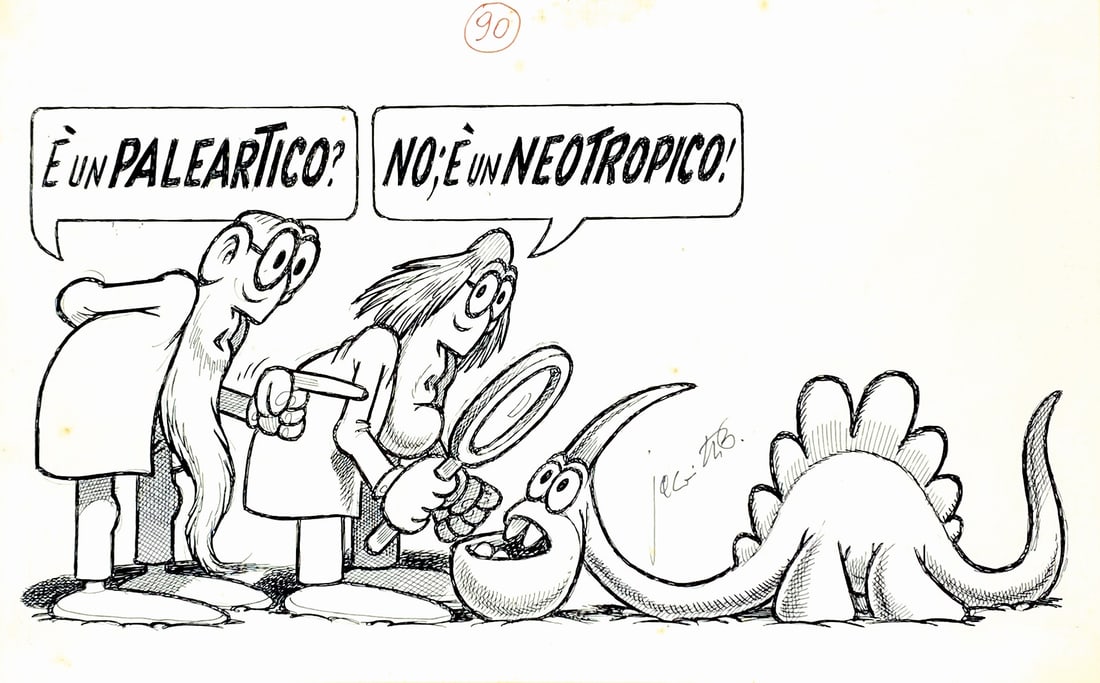 BENITO JACOVITTI - E' un Paleartico? (1 of 1)