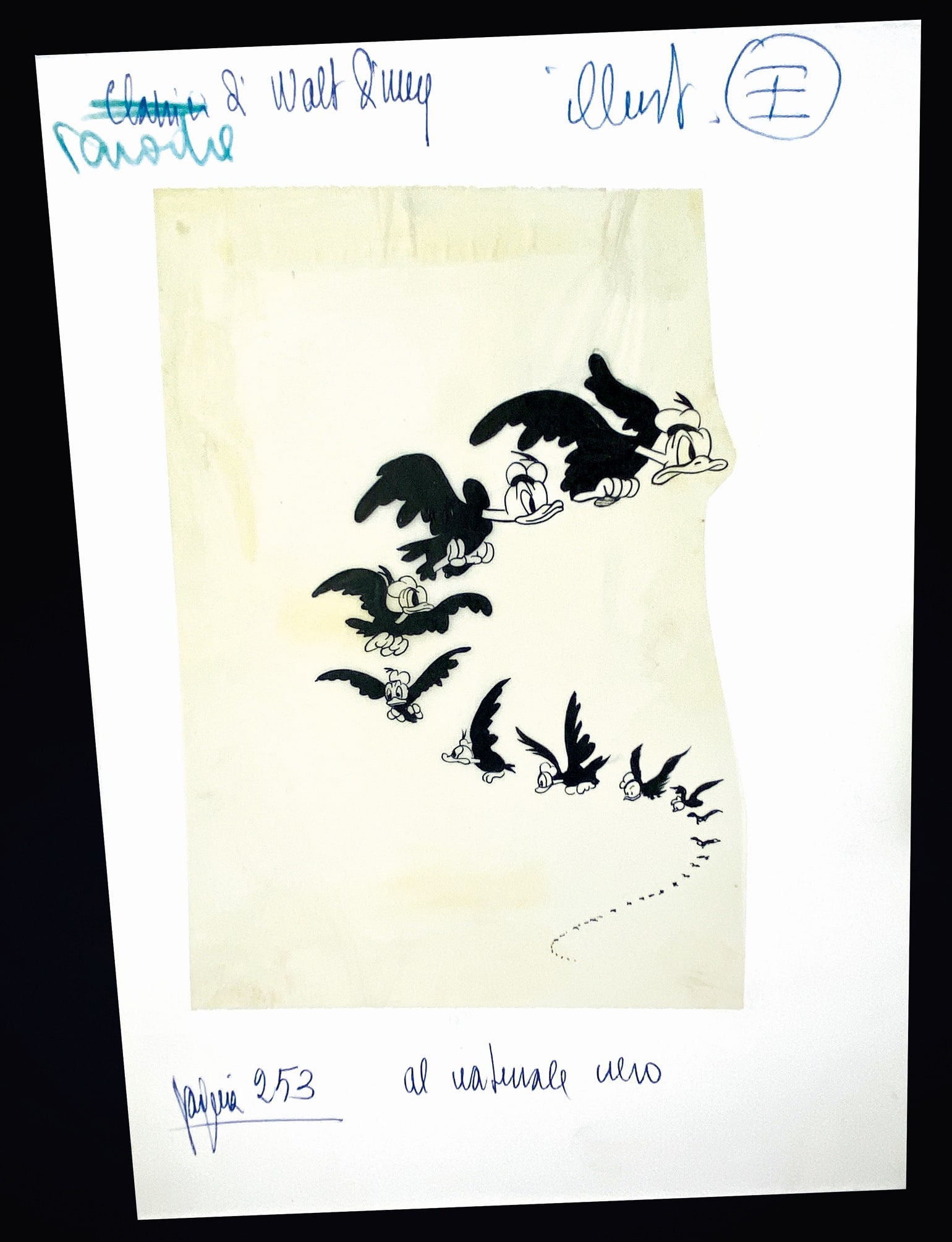 BIOLETTO; MARTINA - Paperino Arpia (1 of 1)