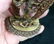 Tibetan fine bronze gilt Buddha statue of dakinis - 7