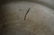 A Rare Antique Dehua Kiln Incense Burner - 8