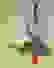 item-12074834=2