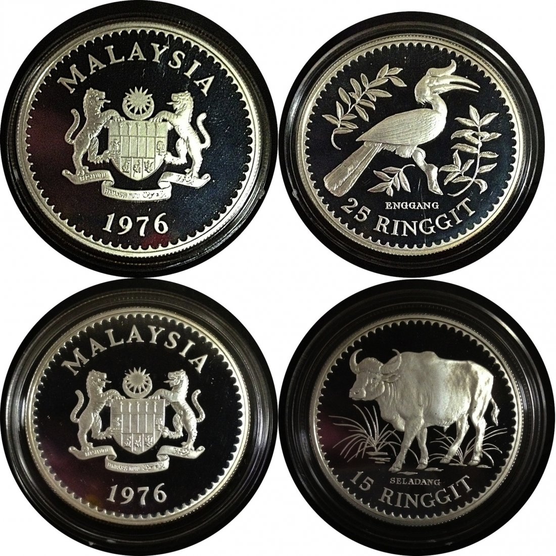 Coin: Malaysia 1976, 15Ringgit & 25Ringgit Enggang Bird and Seladang Gaur silver coins. Proof (Total 02pcs) 马来西亚1976年，十五令吉与ߚ