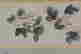 item-60075713=6