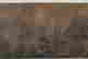 item-60103276=4
