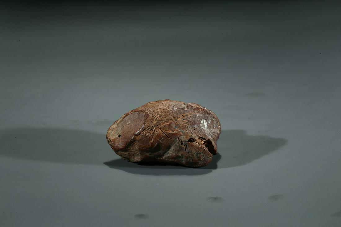 AN ARCHAIC BONE 'TAOTIE' CARVING: Probably Shang Dynasty period, the naturalistic bone remaining carved with archaic taotie mask pattern, possibly used for ritual purpose. Length: 3 in (7.6 cm) Width: 2 6/8 in (7.0 cm)