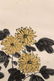 COLOR AND INK 'FOUR PLANTS' PAINTING, ZHANG BOJU (1898 - 3