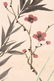 COLOR AND INK 'FOUR PLANTS' PAINTING, ZHANG BOJU (1898 - 4