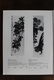 AN INK PAINTING 'LYCHEE AND GRASSHOPPER' BY QI BAISHI - 10