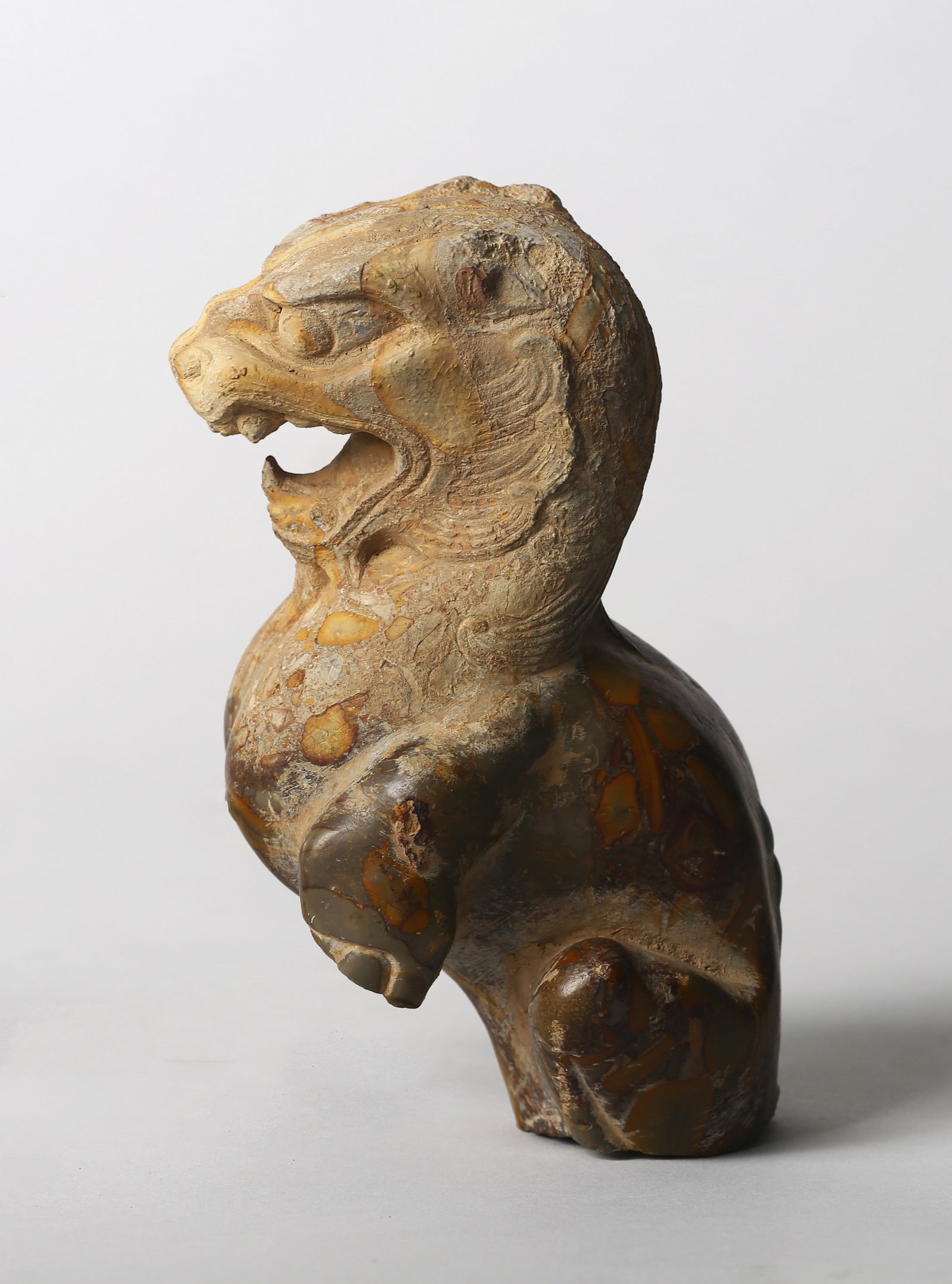A Chinese Puddingstone Figure of Lion Fragment: 唐 抱子石雕獅子殘件 Carved in the round as a seated lion with forelegs raised (missing), the head turned slightly and jaws agape in a vigorous