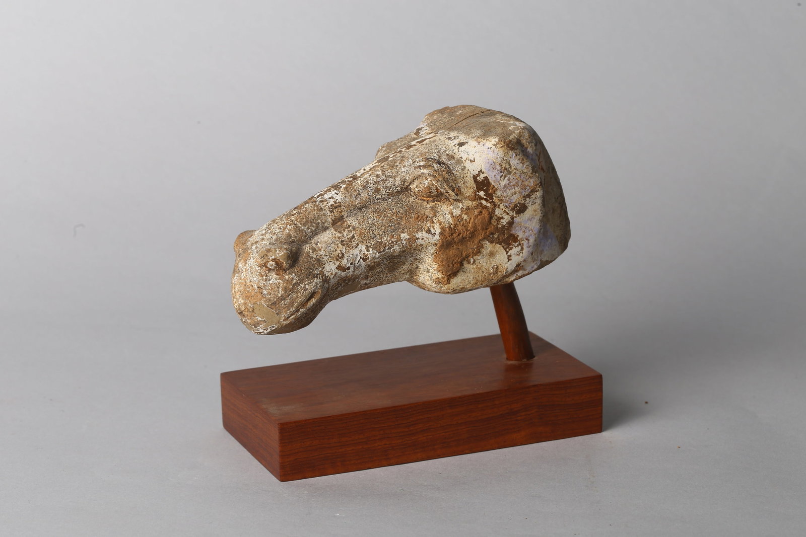 A Chinese Pottery Horse Head: 漢 陶胎馬首 Modeled naturalistically with elongated muzzle and gently arched neck, the features softly defined with incised details, the surface bearing traces of pigment