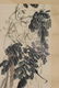 Qi Baishi: ink and color on paper 'Wisteria' - 7