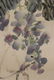 Qi Baishi: ink and color on paper 'Wisteria' - 8