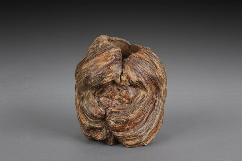 A NATURALISTIC OLD GRAPE ROOT ROOT BRUSH POT (1 of 5)