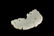 A WHITE JADE CARVED 'DRAGON' PENDANT - 2