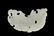 A WHITE JADE CARVED 'DRAGON' PENDANT - 3