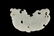 A WHITE JADE CARVED 'DRAGON' PENDANT - 4