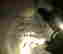 item-28165436=4